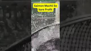 Salmon Machli se Kare Double Profit 😱🔥 Fish farming Business in India aquaculture [upl. by Wilen]