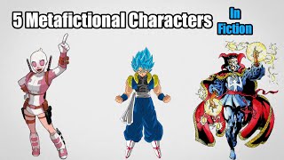 5 Metafictional Characters In Fiction [upl. by Yrollam635]