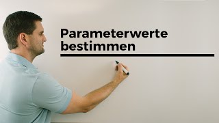 Parameterwerte bestimmen bei Funktionsscharen Analysis  Mathe by Daniel Jung [upl. by Barnabas857]