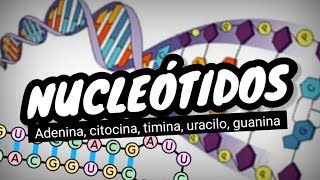 NUCLEÓTIDOS del ADN y ARN⚡¿que son Fácil y sencillo en 3 minutos [upl. by Tselec]