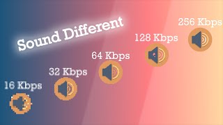 16 vs 32 vs 64 vs 128 vs 256 KBPS MUSIC COMPARISON  SOUND QUALITY DIFFERENCE BETWEEN 2024 [upl. by Norry260]