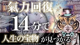 【氣力回復】14分で、辛い日々の中に人生の宝物が見つかります [upl. by Ojeillib]