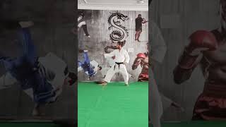 heian godan kata shotokan [upl. by Vasily798]