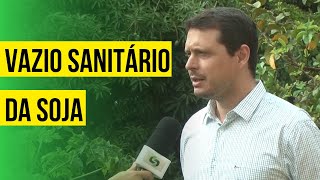 Vazio sanitário da soja [upl. by Matrona]