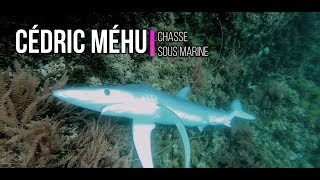 REQUIN BLEU ET ARAIGNÉE DE MER À MARSEILLE AVEC LEPETITCHASSEURMARSEILLAIS [upl. by Borg851]