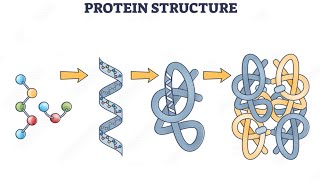 Biochemistry 1 lec2 quotpart1quot [upl. by Kcirdet]