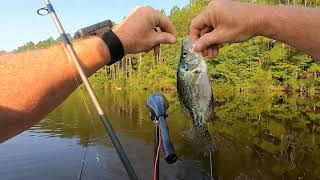 August lake fishing Hazlehurst Ga [upl. by Ahsakal]