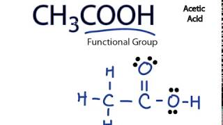 CH3COOH Lewis Structure Acetic acid [upl. by Hippel966]