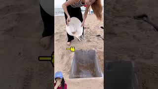 PRANK BESTIE PELIT DI KOLAM PASIR PANTAI ⁉️shorts dubbing funny [upl. by Sulrac]