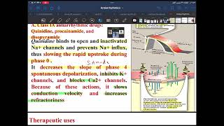 Antiarrhythmics drug [upl. by Ahsatam162]