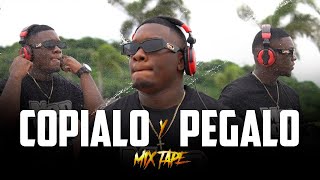 COPIALO Y PEGALO MIXTAPE djvinsc3 MIX DE PLENAS NUEVAS 2023 [upl. by Niuqram421]