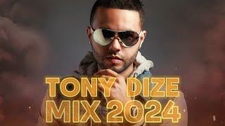 TONY DIZE MIX 2024  REGGAETON VIEJO MIX  REGGAETON CLASICO MIX 2024 [upl. by Latrina]