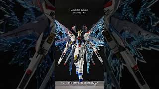 HG 1144 Strike Freedom Gundam by GAOKE [upl. by Sinnod]