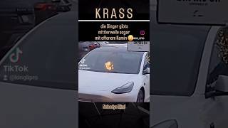 Neue Tesla Winteredition mit gemütlichem Kamin 😅 tesla fun meme kamin fire elonmusk reel [upl. by Ahsinoj]