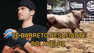 ZÉ BARRETO DESAFIANTE BOI AVELOZ [upl. by Maxantia]