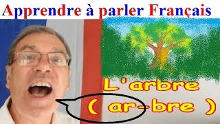 Apprendre à parler français oralement les mots utiles de la forêt  13 [upl. by Fried582]