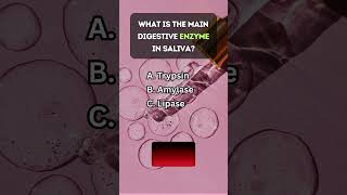 🍎 Can You Digest This Test Your Knowledge on the Digestive System 💡 [upl. by Nosoj]