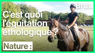 Cest quoi léquitation éthologique [upl. by Llenehc]