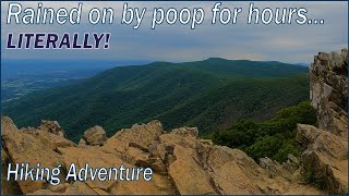 Hiking Hawksbill Loop Trail  Shenandoah National Park [upl. by Eladroc800]