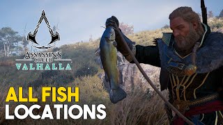 Assassins Creed Valhalla All Fish Locations Good Catch Trophy Guide [upl. by Dora]