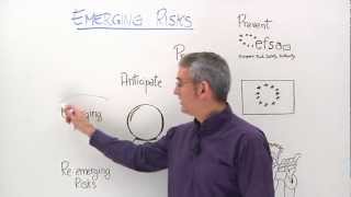 How to identify emerging risks [upl. by Lerad119]