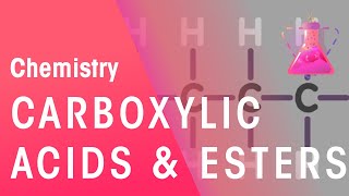 Carboxylic Acids Typical Acids and Esters  Organic Chemistry  Chemistry  FuseSchool [upl. by Lahsram]