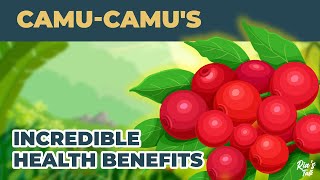 Camu Camus Incredible Health Benefits [upl. by Tansey]