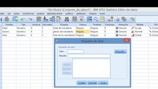 IBM SPSS Tutorial Cómo Ingresar Datos [upl. by Attenyl]