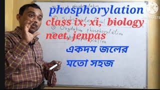 Phosphorylationclassixclassxi neet jenpas samsul academy official [upl. by Eseila]