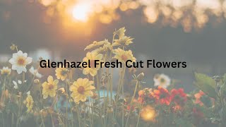 Florist Idols Glenhazel Fresh Cut Flowers [upl. by Anivel]