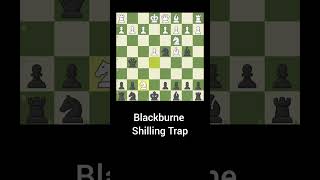 Blackburne Shilling Trap  chess gameofchess chessgame chessboard strategygame chesstraps [upl. by Harvey212]