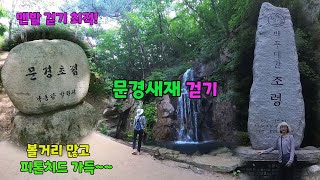 문경새재에 🏞 낙동강 발원지가 있네요 맨발 걷기 성지 [upl. by Tonya]