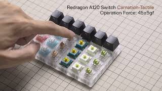 Redragon A120 Switches Sound Test [upl. by Lissy]