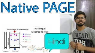 Native PAGE gel electrophoresis in Hindi [upl. by Fernandes]