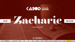 « Zacharie » LAncien Testament  La Sainte Bible audio VF Complète [upl. by Sillek290]