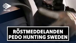 BEVISNING MOT PEDO HUNTING SWEDEN RÖSTMEDDELANDEN [upl. by Heti]