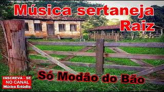 Sertanejo Raiz  Só Modão do Bão [upl. by Roban975]