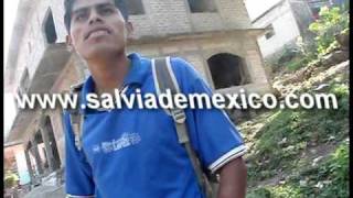 documental sierra mazateca salvia divinorummpg [upl. by Beera]