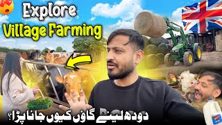 Explore Village Farming in Uk 😍🇬🇧 Doodh Lene Gaon Keyun Jana Para❓Cow Farm Uk 🐄  Uk Family Vlog [upl. by Wanda]