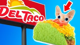 Top 10 Untold Truths of Del Taco [upl. by Wanfried]