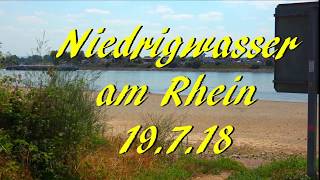 Niedrigwasser Rhein Biebesheim 19718BiebesheimRiedGroßGerauMannheimWienNYBensheim [upl. by Hose733]