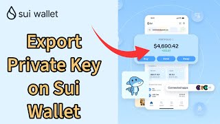 How to Export Your Private Key on Sui Wallet Account 2024 [upl. by Harutak]