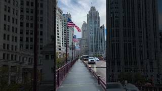 Is Chicago the most beautiful city in the USAbeautiful chicago downtownshortsvideo shortsvideo [upl. by Taber]