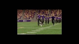 WASHINGTON HUSKIES  INTRO footballshorts cfb25 washingtonhuskies huskies collegefootball [upl. by Goldwin292]