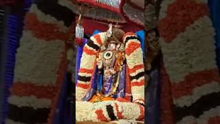 subscribe garuda garudaseva garudasevai sub ytshots yt youtubeshorts youtubeshort balaji [upl. by Lynette624]