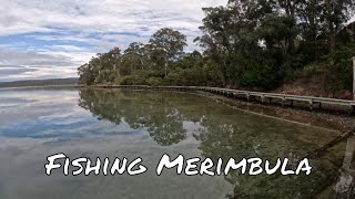 Fishing the Boardwalk in Merimbula [upl. by Anyaled289]