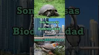 La Magia de Galápagos Un Viaje a través de su Espectacular Biodiversidad [upl. by Ysset46]