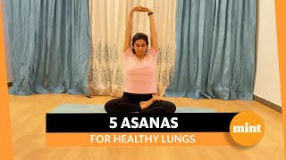 5 Basic Yoga Asanas For Healthy Lungs [upl. by Calvin]