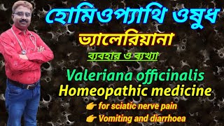 valeriana officinalis homeopathic medicine  valerian plant  homeopathic medicine for sciatica [upl. by Dehnel]