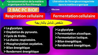 Résumé  La respiration  la fermentation cellulaire 2 bac pc BIOF ملخص شامل بالداريجة [upl. by Tarra]